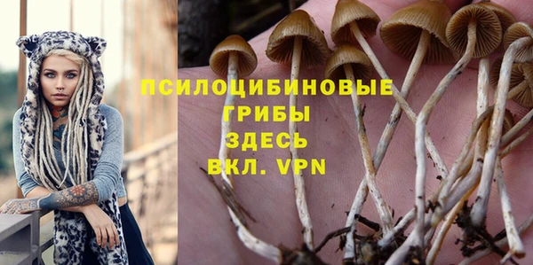 соль ск Абдулино