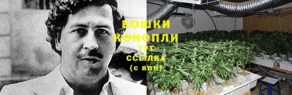 jwh Абаза