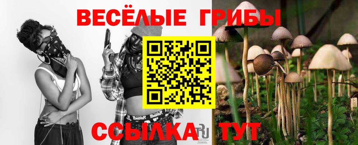 где можно купить   Вход с VPN  Кострома  Псилоцибиновые грибы прущие грибы 