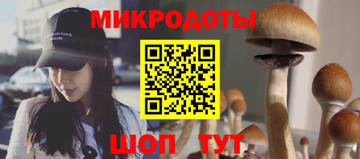 Галлюциногенные грибы мухоморы Кострома